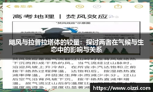 XK体育